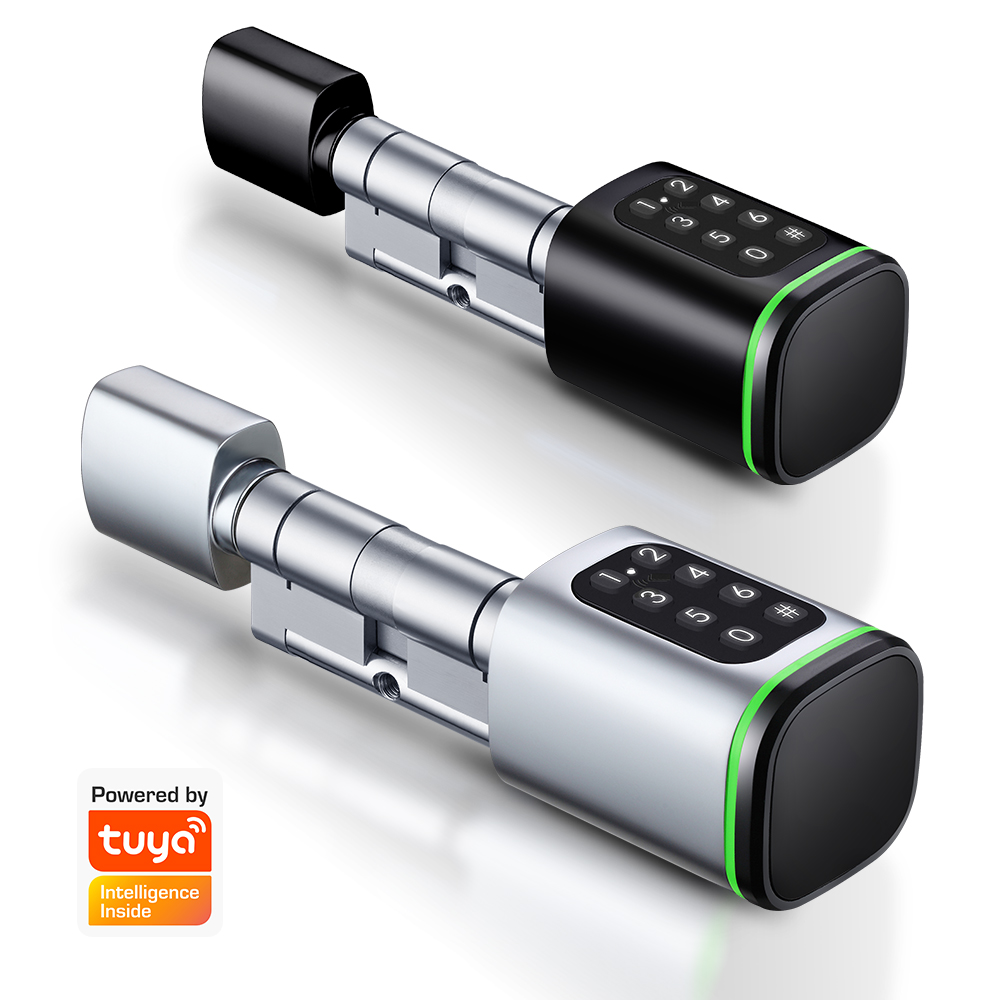 Home Security Battery - Serrure à cylindre intelligente Tuya 60-90mm,