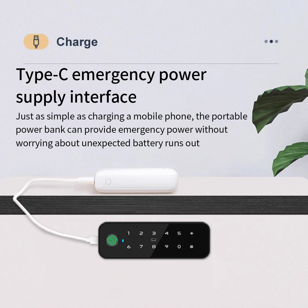 Tuya – armoire intelligente en - Home Security Door Lock avis et prix