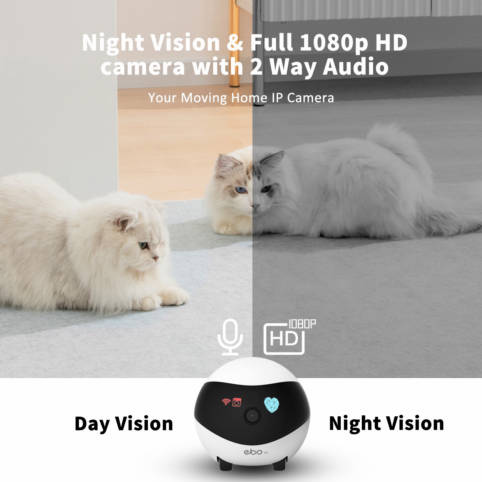 EBO SE – robot pour maison int - Home Security Robot avis et prix