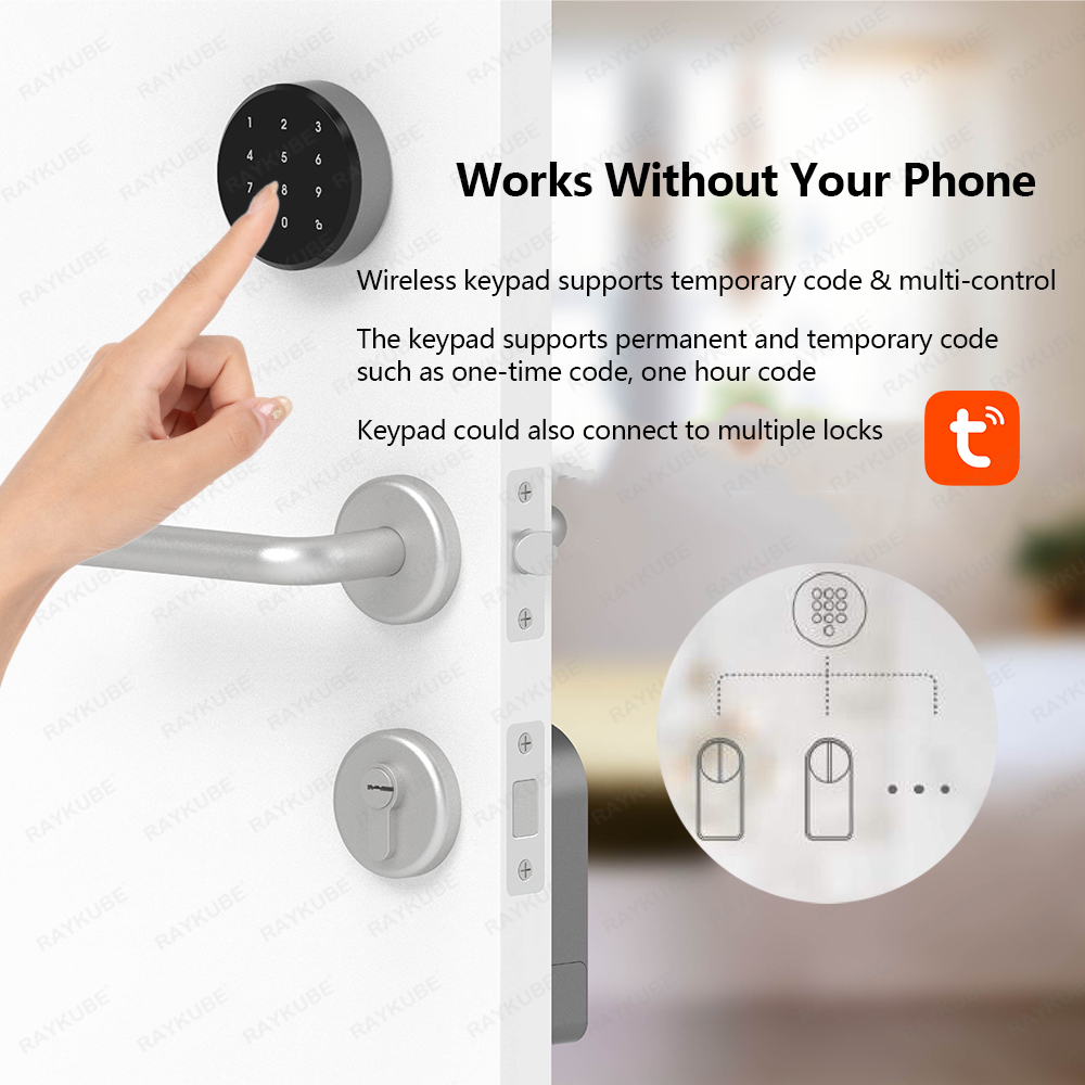 RAYKUBE A1 Pro Tuya BEL ensemb - Home Security Door Lock avis et prix